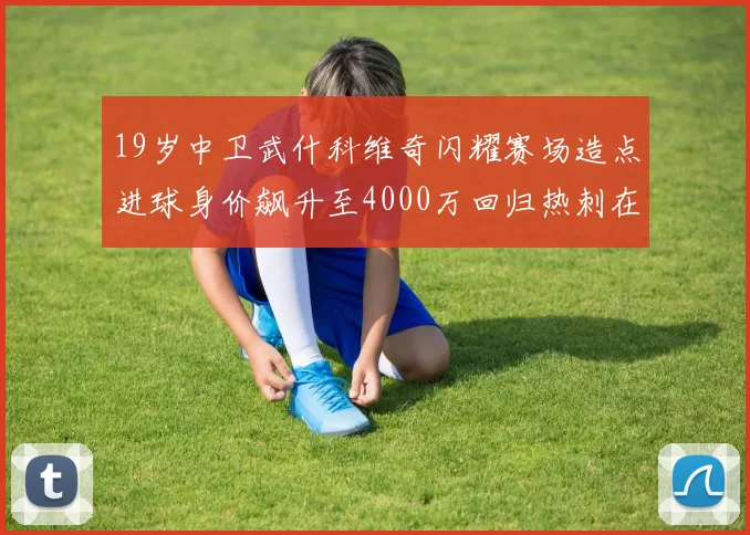 19岁中卫武什科维奇闪耀赛场造点进球身价飙升至4000万回归热刺在即
